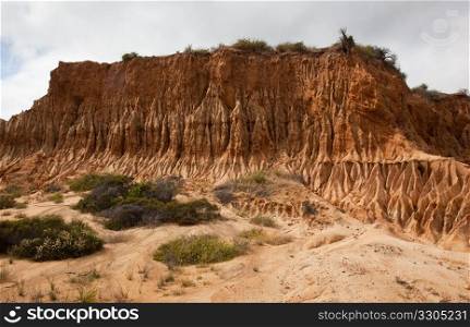 Rugged razor edged erosion in the sandstone on Torrey Pines hillside
