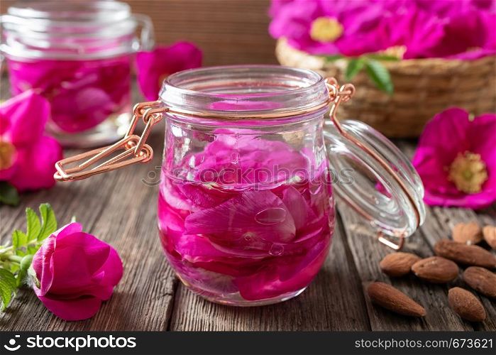 Rugosa rose petals macerating in almond oil, to prepare a homemade skin tonic