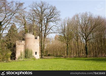 ruin of historic fortress tower in forest