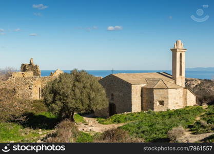 Ruined buildings and the restored church in the abandoned village of Occi near Lumio in the Balagne region of Corsica