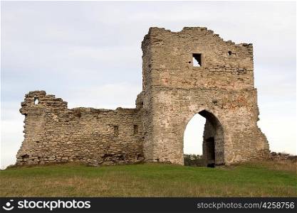 Ruined gates of cossack castle on green field