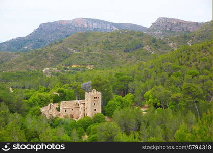 ruined monastery Jeronimo Nuestra senyora de la Murta in Alzira Valencia at Spain