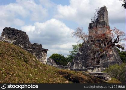 Ruins and big pyramid in Tikal, Guatemala