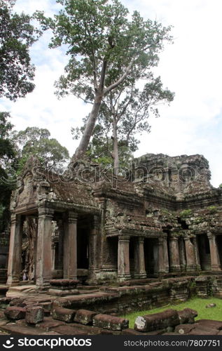 Ruins and trees in Wat Preah Khan, Angkor, Cambodia