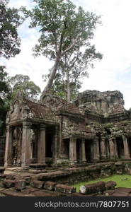 Ruins and trees in Wat Preah Khan, Angkor, Cambodia