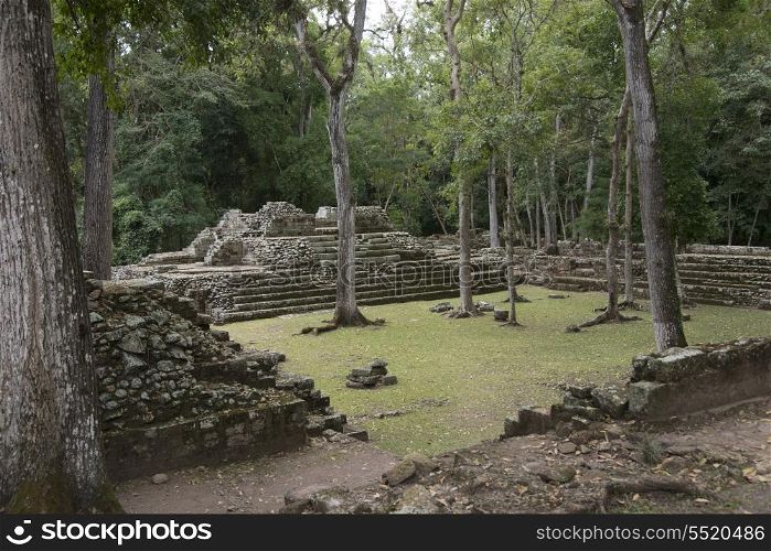 Ruins at an archaeological site, Copan, Copan Ruinas, Copan Department, Honduras