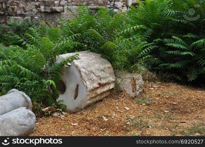 Ruins obscured by overgrown plants. Broken ancient greek column.