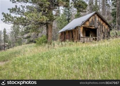 ruins of a vintage cabin along Old Flowers Road in Roosevelt National Forest, a popular jeep trail near Fort Collins, Colorado