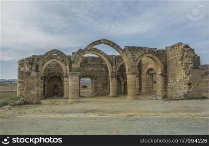 Ruins of Agios Sozomenos temple. Nicosia district. Cyprus