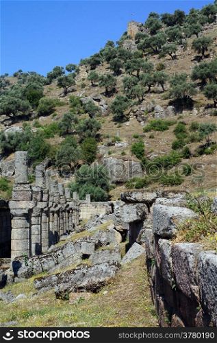 Ruins of ancient agora in Alinda, Turkey