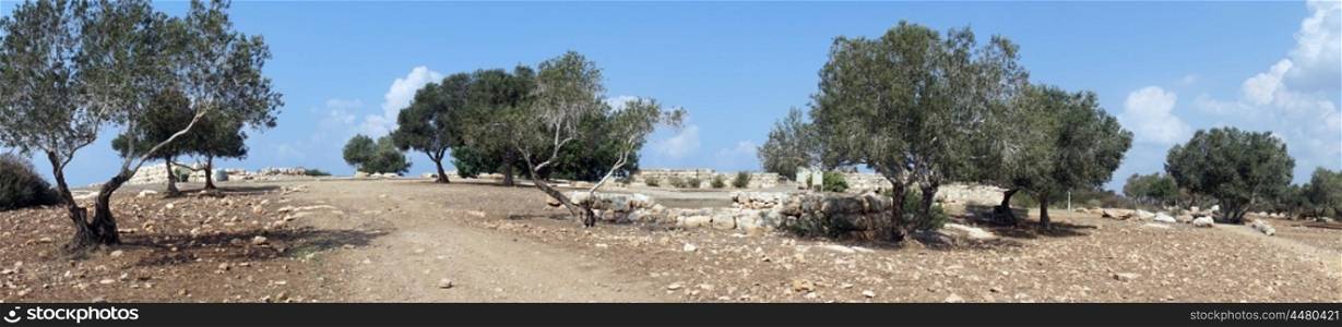 Ruins of ancient farm Hirbat Akav in Israel
