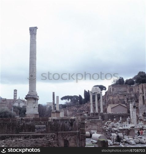 Ruins of buildings, Roman Forum, Rome, Italy