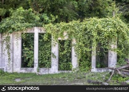 ruins of concrete building are repossessed by vegetation