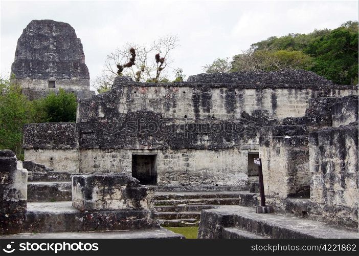 Ruins of old stone temple and pyramid in Tikal, Guatemala