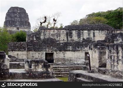 Ruins of old stone temple and pyramid in Tikal, Guatemala