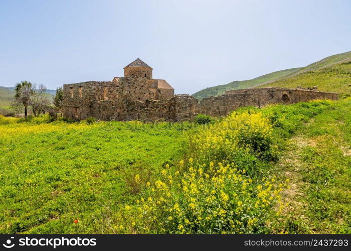 Ruins of Panagia tou Sinti ortodox Monastery with temple in the center and yellow flowers in the foreground, Cyprus