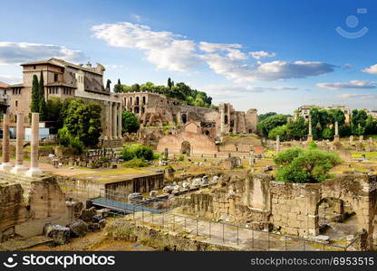 Ruins of Roman Forum in summer, Italy