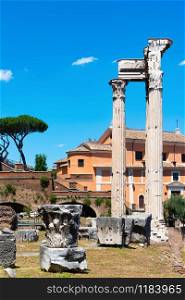 Ruins of Roman Forum in summer, Italy. The ruins of Rome
