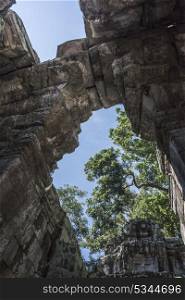 Ruins of Ta Prohm Temple, Angkor Archaeological Park, Krong Siem Reap, Siem Reap, Cambodia