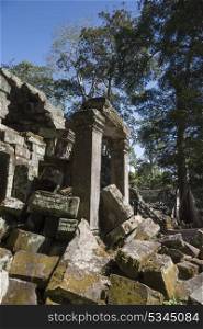 Ruins of Ta Prohm Temple, Angkor Archaeological Park, Krong Siem Reap, Siem Reap, Cambodia