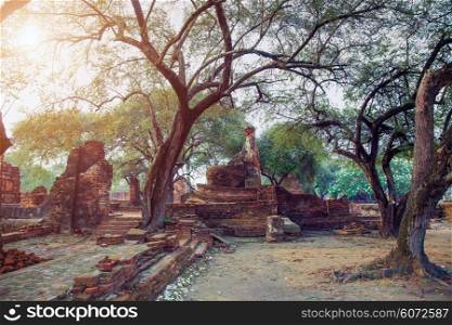 ruins of the old capital of Siam - Ayutthaya, Thailand