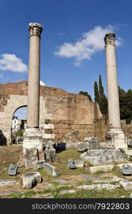 Ruins of the Roman Forum, Rome, Italy