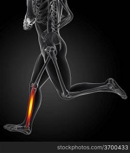 running legs shin bone glow