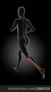 running side pose with just calf bone highlighted