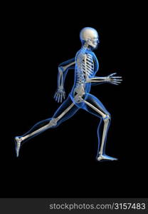 running skeleton