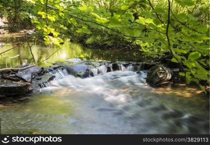 running water in the river semois in belgium nature