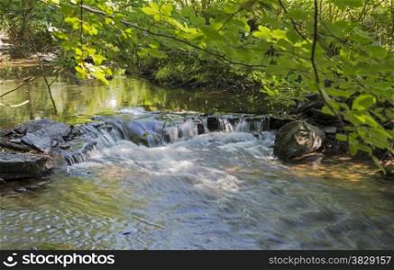 running water in the river semois in belgium nature