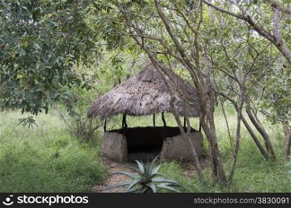Rural African hut in south africa nature