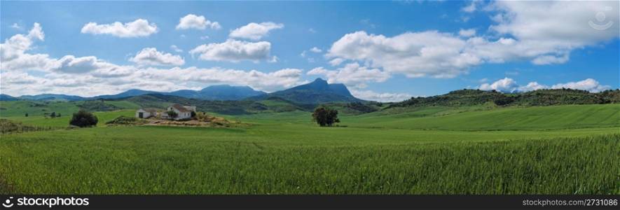 Rural Andalucian landscape