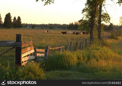 Rural area around Gimli, Manitoba