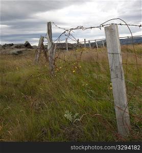Rural barbwire fence through meadow