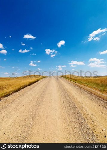 Rural Dirt Road Through Grassland