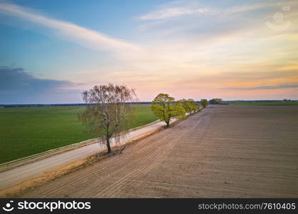 Rural dirt road with maple trees in spring fields. Beautiful countryside sunset scene. April evening in Belarus aerial view