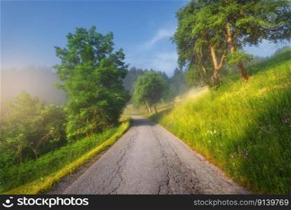 Rural empty road in mountains in summer foggy morning. Nature. Landscape with road, green trees and grass on the hill in fog, blue sky at sunrise in Slovenia. Beautiful roadway. Scenery