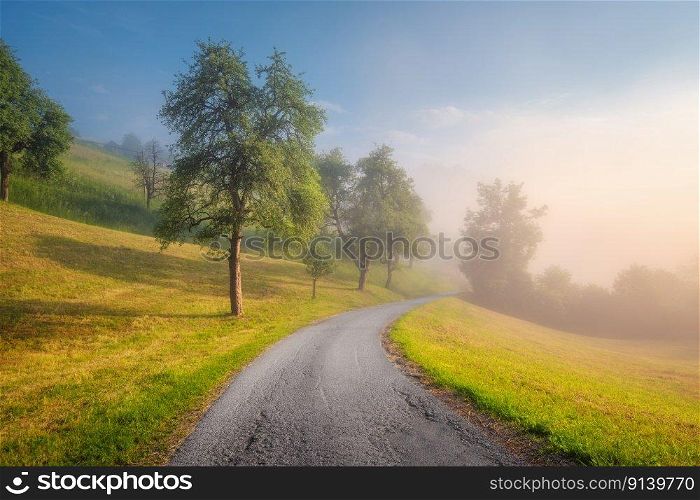 Rural empty road in mountains in summer foggy morning. Nature. Landscape with road, green trees and grass on the hill in fog, blue sky at sunrise in Slovenia. Beautiful roadway. Scenery