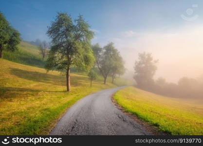 Rural empty road in mountains in summer foggy morning. Nature. Landscape with road, green trees and grass on the hill in fog, blue sky at sunrise in Slovenia. Beautiful roadway. Scenery