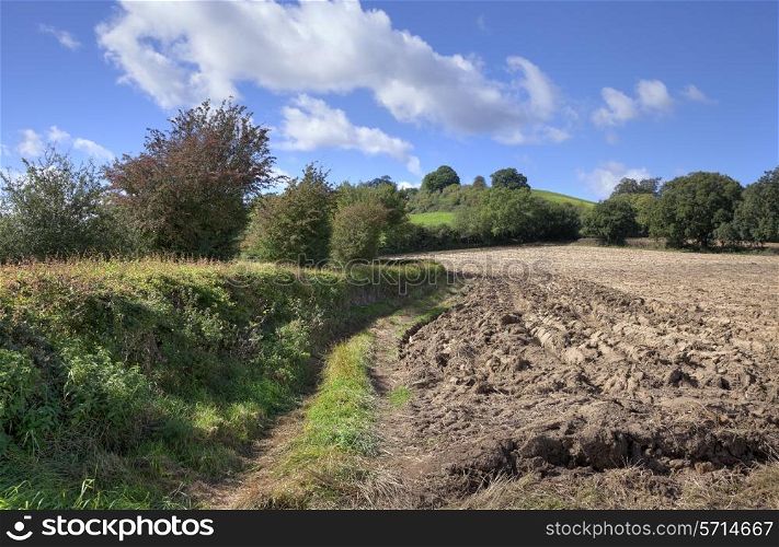 Rural England showing ploughed field, hedgerows and hills in late Summer.