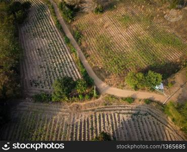 Rural farmland aerial photo taken by drone, Most rural people have an agricultural career.