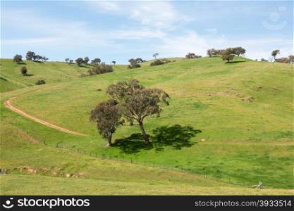 Rural farmland, in Southern New South Wales, Australia