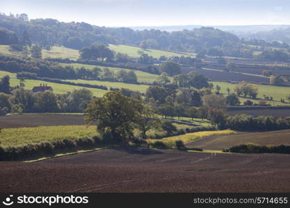 Rural field patterns in late summer, Gloucestershire, England.