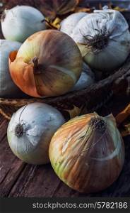 rural harvest onions on wooden table top