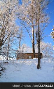 rural house amongst snow tree