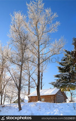 rural house amongst tree