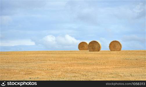 Rural idyll - straw bales on the harvested field