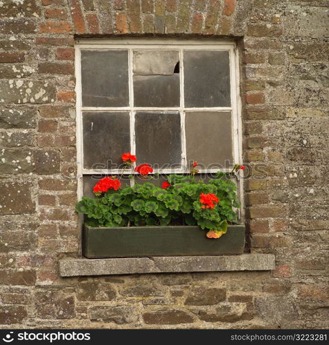 Rural Ireland