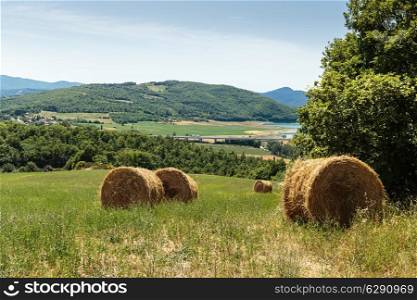 Rural Italian landscape in Tuscany